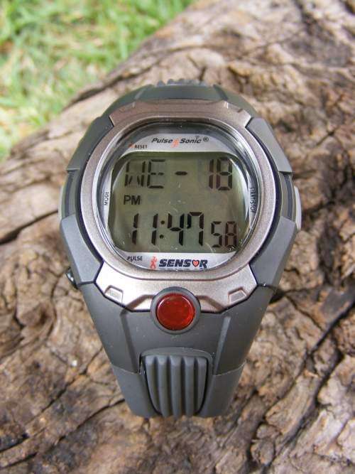 Heart Rate Pulse Watch (a Convenient way to test your heart rate )