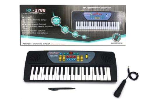 electric piano keyboard organ with microphone