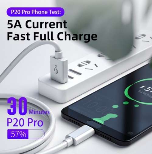 OLESSON CABLE USB DATA TO TYPE-C 100CM (1Meter)