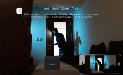 *Local stock* SONOFF DIY Wi-Fi Wireless Switch For Smart HomeSmart Home RF Bridge 433 Mhz Automation