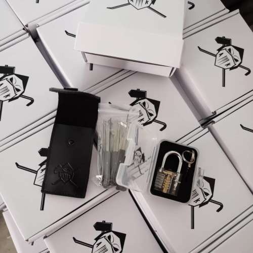 12 Piece Stainless Steel Mini Lock Pick Set