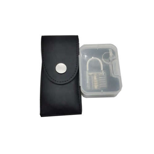 12 Piece Stainless Steel Mini Lock Pick Set