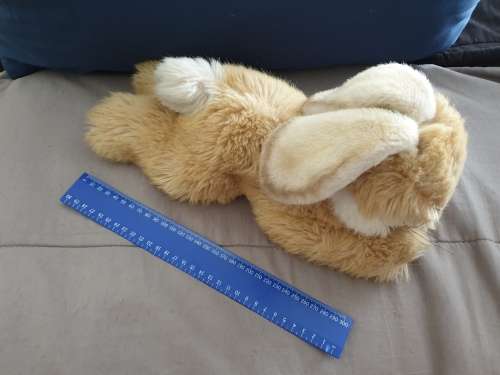 Steiff Lying Molly Rabbit