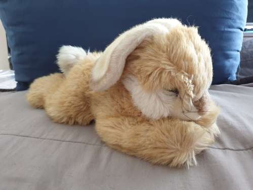 Steiff Lying Molly Rabbit