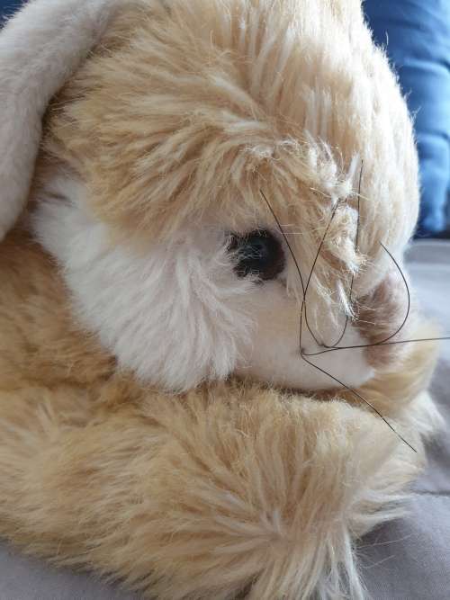 Steiff Lying Molly Rabbit