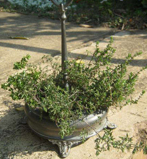 R1.00   THIS IS OLD..... SHABBY CHIC PEWTER CONDIMENTS STAND WITH HANDLE