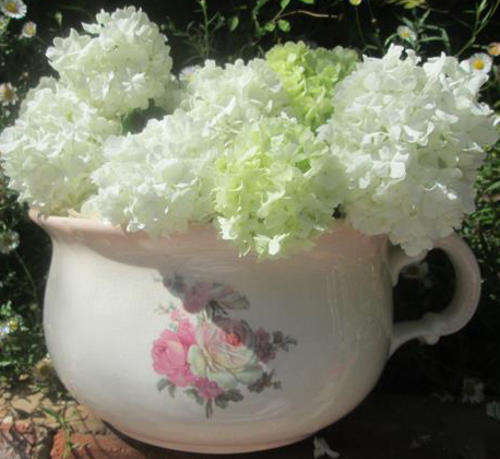 ANTIQUE, PRETTY AND PINK WITH ROSY POSY TRANSFERS,  ENGLISH CERAMIC CHAMBER POT.