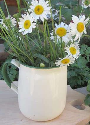 VINTAGE, ENAMEL CREAM JUG WITH GREEN TRIM SUITABLE FOR USE AS A PLANTER