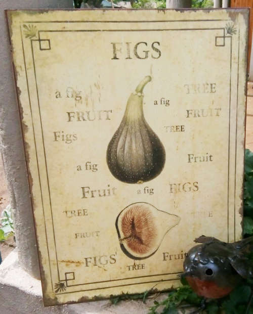 VINTAGE, HEAVY QUALITY METAL, BOTANICAL PICTURE OF A FIG , MADE TO LOOK OLD....GREAT CONDITION.