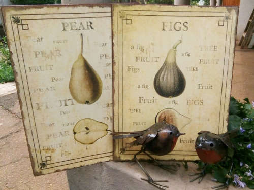 VINTAGE, HEAVY QUALITY METAL, BOTANICAL PICTURE OF A FIG , MADE TO LOOK OLD....GREAT CONDITION.