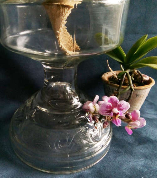 LARGE  QUEEN ANN no2  PRESSED GLASS OIL / KEROSENE BURNING LAMP, EXCELLENT CONDITION.