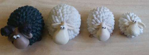 Vintage Paolo Chiari Miniature Sheep World Collection - Rare Set of 4