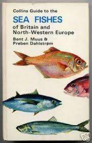 Collins guide to the sea fishes of Britain and North-Western Europe.  Muus & Dahlstrom