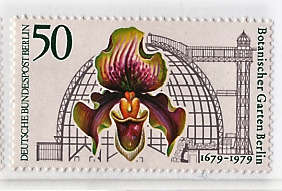 GERMANY WEST BERLIN 1979 300th ANNIV OF BERLIN BOTANICAL GARDENS (VENUS SLIPPER ORCHID) 50pf LMM.SG