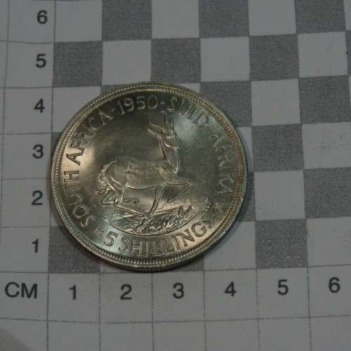 1950 South Africa five shilling crown - Uncirculated and scarce - Excellent coin