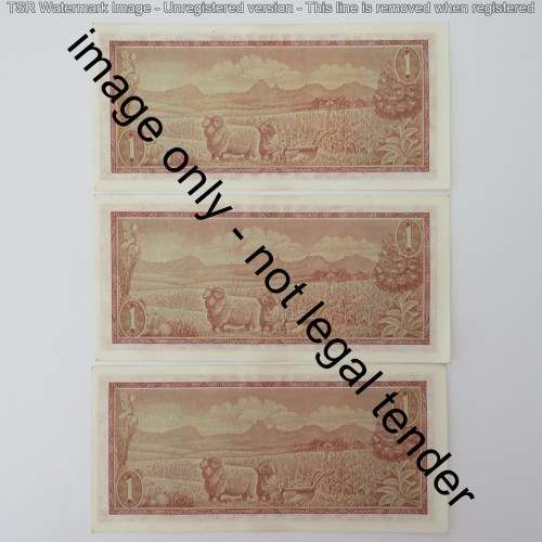TW de Jongh 3rd issue lot of 11 R1 notes uncirculated with consecutive numbers