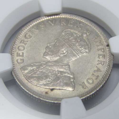 1927 SA Union shilling graded AU55 by NGC