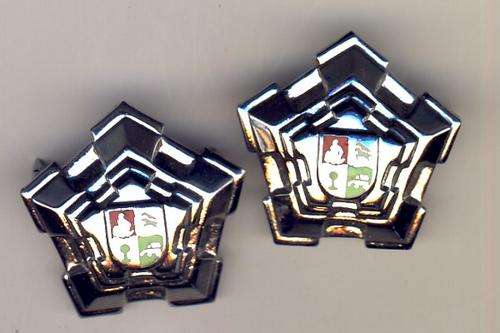 SA Chromed metal Rank castle, only worn by the Army - as per scan