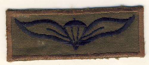 Parachute cloth Wing - Field dress - as per scan