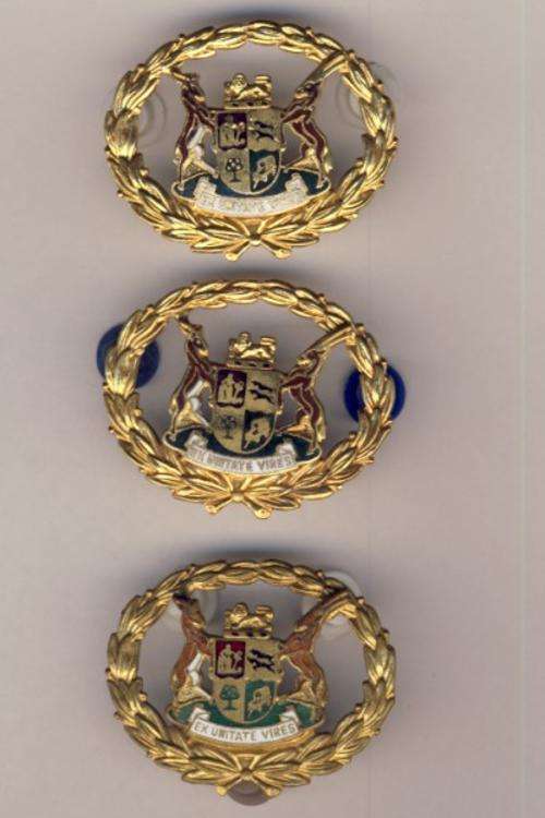 Lot of 3 Warrant officer badges as per scan