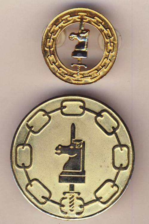 Army bottle school - oefening Sombre medallion & badge as per scan