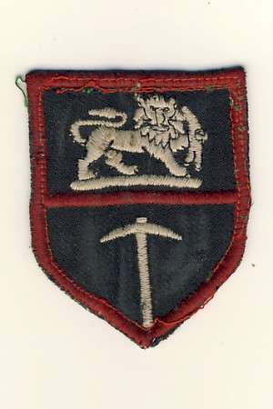 Rhodesian army arm patch