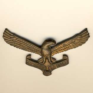 South African Air Force cap badge