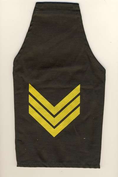 SA Police Sergeant armband