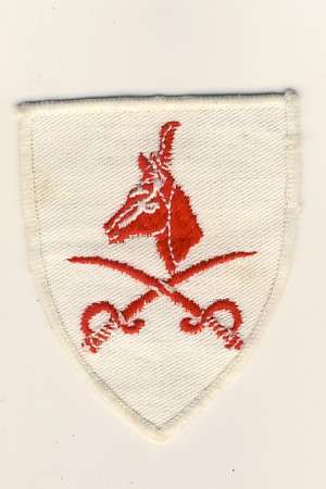 SA Advanced Physical training Instructor - red on white badge