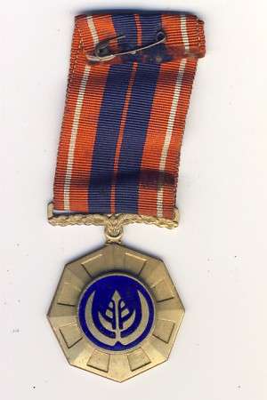 Pro Patria medal as per scan