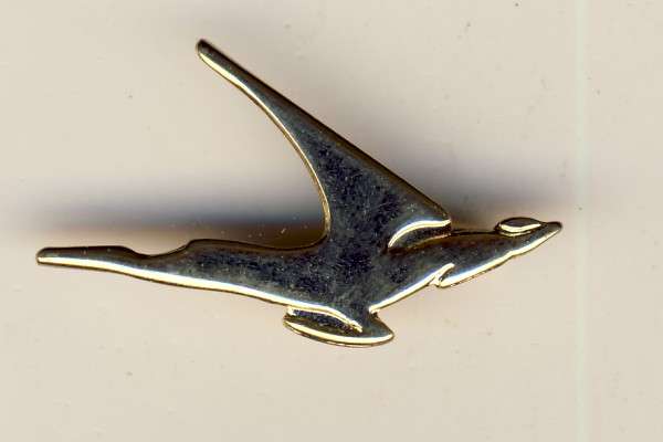 Old type SAL pin @@@ Crazy R1 Start