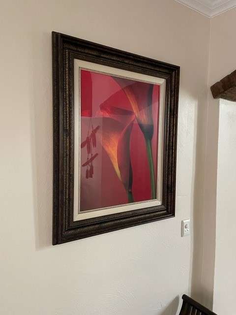 Flower Picture and Framed