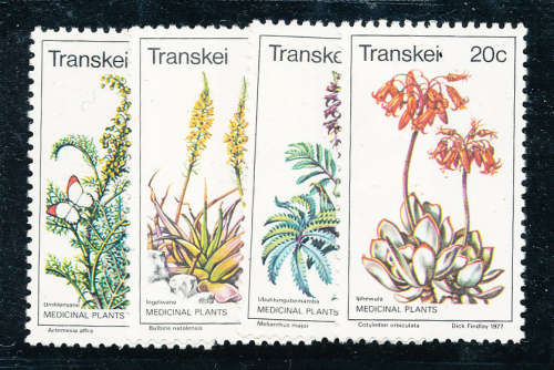 Transkei - 1977 - Medicinal Plants - set of 4 - unhinged mint . SACC 24-27 .