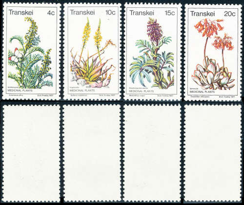 Transkei - 1977 - Medicinal Plants - set of 4 mint unhinged . SACC 24-27 .