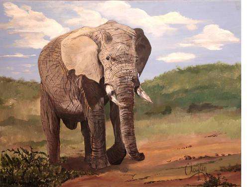 Clayton Visagie - Old Big Foot - Crazy R9 start!!!!!