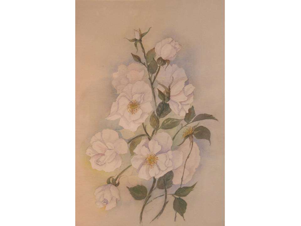 Icebergs by Anet Barnard - Framed Watercolour - Crazy R9 start