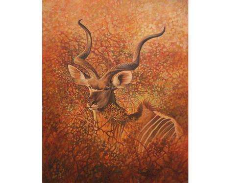 Mopanie Kudu by Don Bell - Crazy R9 start!!!