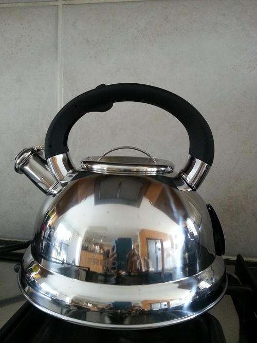 3,0 Litre Acrylic Funky Coloured Energy Saving Whistling Kettle - Silver (works on induction)