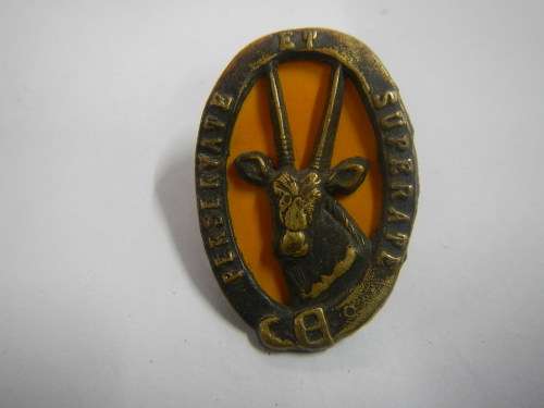 8 SA INFANTRY TRAINING UNIT CAP BADGE WORN ON YELLOW PLASTIC BACKING