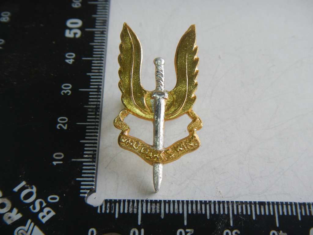 Rhodesian SAS beret Badge