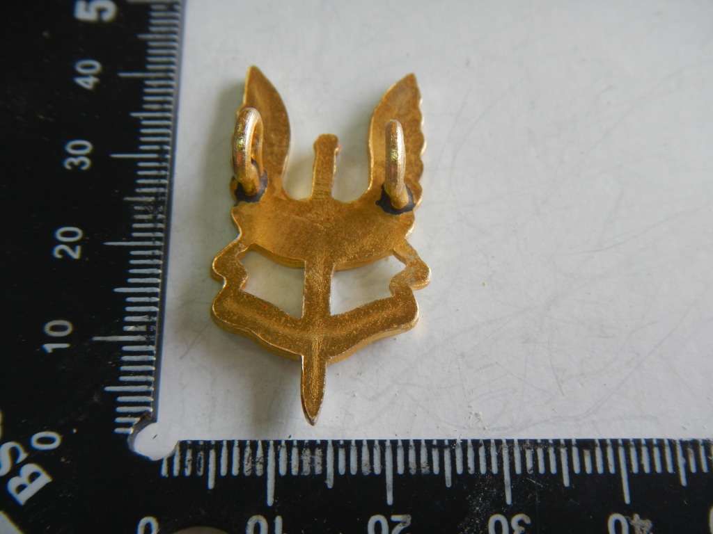 Rhodesian SAS beret Badge
