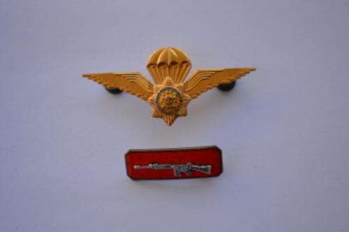 SA POLICE TASK FORCE PARA WING AND SILVER SHOOTING BALKIE