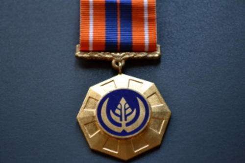 PROPATRIA FULL SIZE MEDAL WITH SWIVEL SUSPENDER ENAMELLED AND NUMBERED