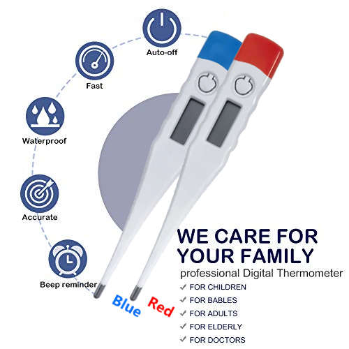 Digital Thermometer Fever Family LCD Thermometer