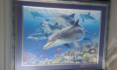 Massive Framed Dolphin Puzzle Behind Glass