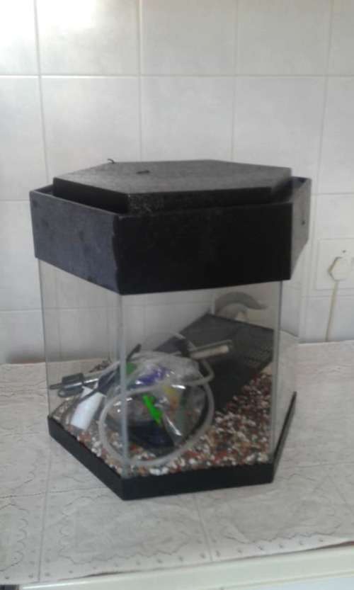 Fish Tank with accessories