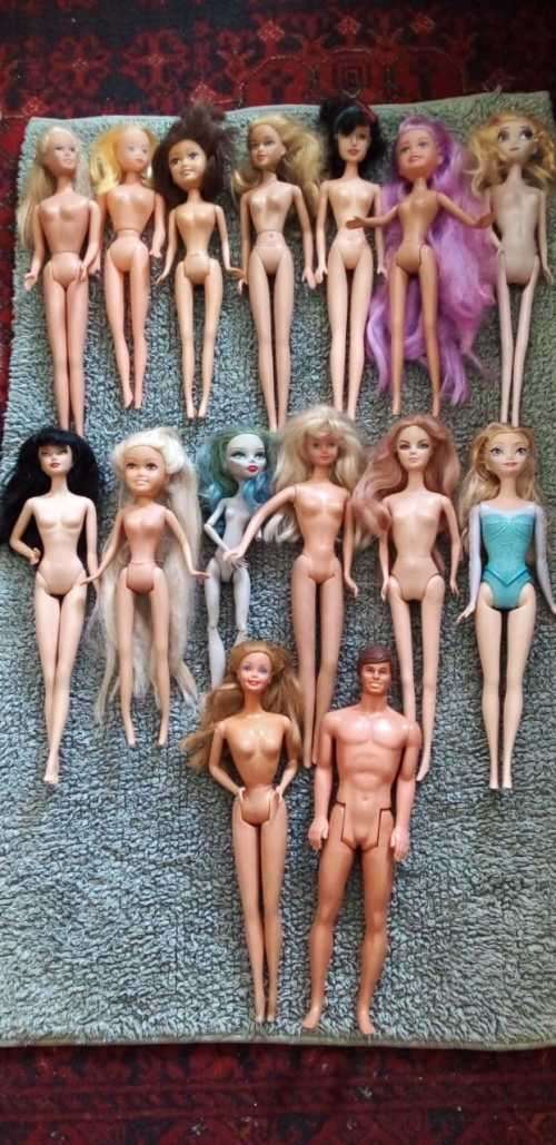 A Collection of 15 Dolls Including a 1966 and 1968 Mattel Ken and Barbie