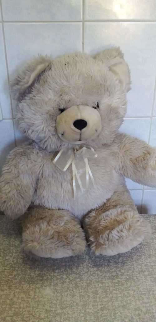 A Quality 60cm Teddy Bear