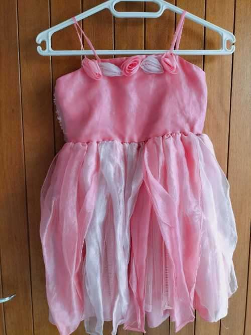 Fancy Dress (3 of 25)