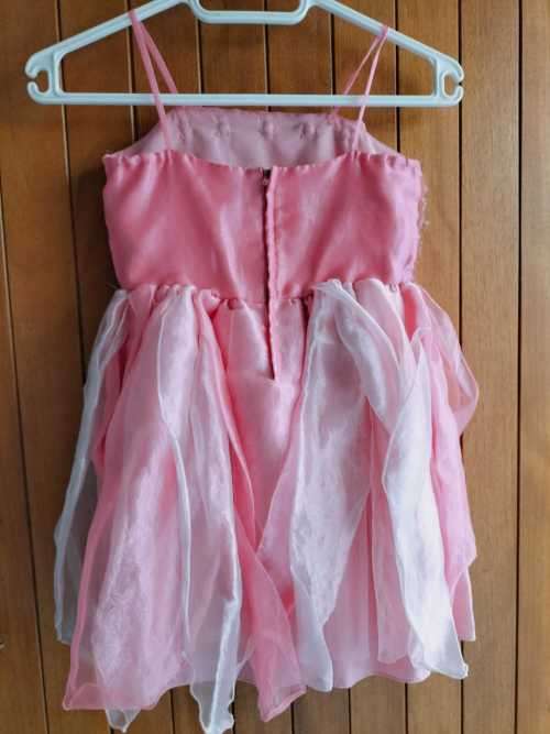 Fancy Dress (3 of 25)